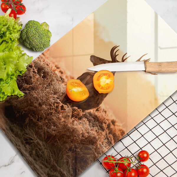 Tagliere in vetro Cervi nel campo