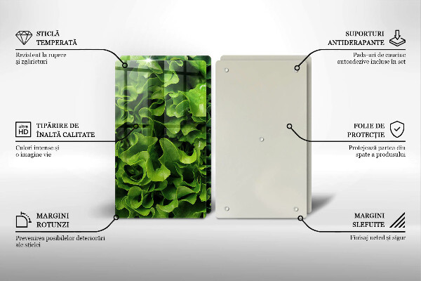 Tagliere in vetro temperato Foglie di lattuga verde