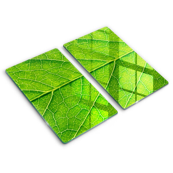 Tagliere in vetro temperato Vene delle foglie naturali
