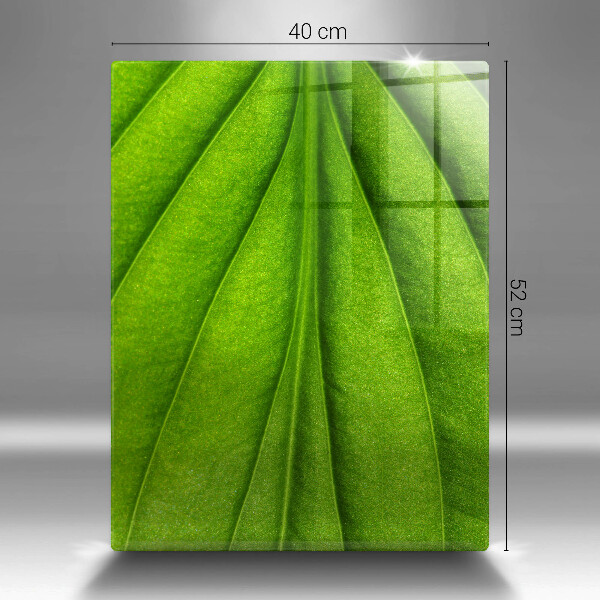 Tagliere in vetro Foglia della vena naturale