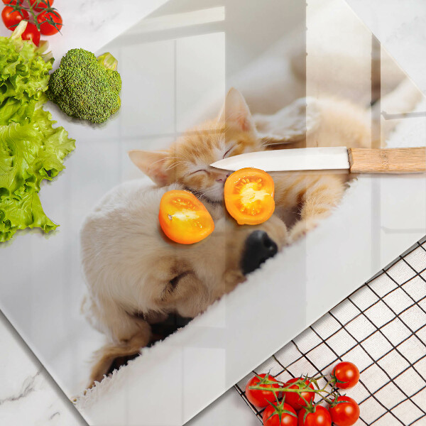 Tagliere in vetro Animali cane e gatto