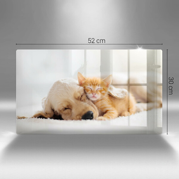 Tagliere in vetro Animali cane e gatto