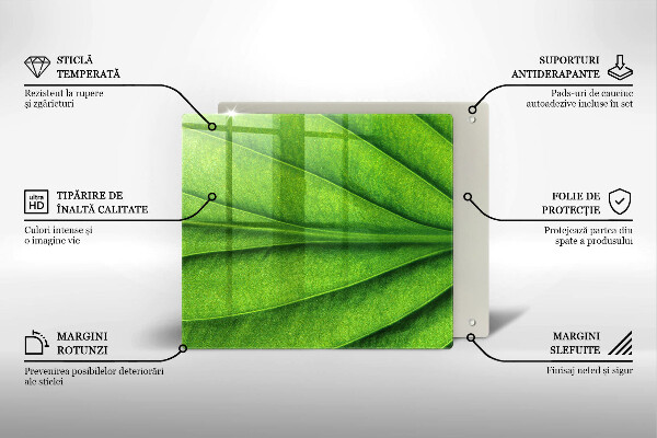 Tagliere in vetro temperato Foglia della vena naturale