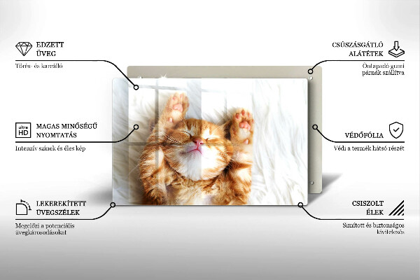 Tagliere in vetro temperato Piccolo gattino carino