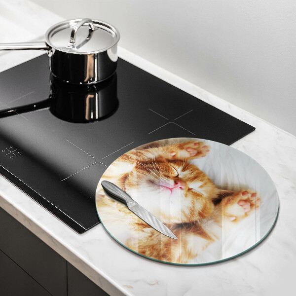 Tagliere in vetro Piccolo gattino carino