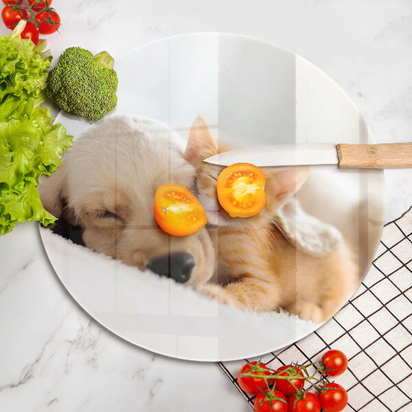 Tagliere in vetro Animali cane e gatto