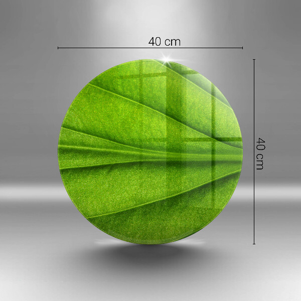 Tagliere in vetro Foglia della vena naturale
