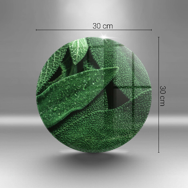 Tagliere in vetro Le foglie della pianta