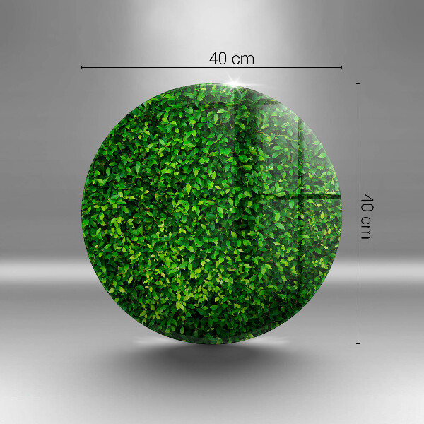 Tagliere in vetro Pianta con foglie piccole