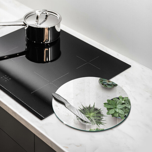 Tagliere in vetro Succulente su cemento