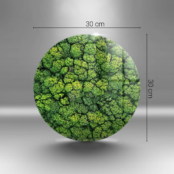 Tagliere in vetro Pianta di muschio naturale