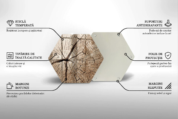 Tagliere in vetro Sezione trasversale di un albero