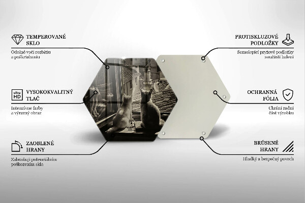 Tagliere in vetro Città e finestra dei gatti