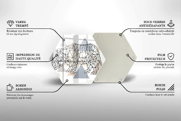 Tagliere in vetro Rinoceronte di linea artistica