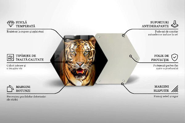 Tagliere in vetro Tigre animale selvatico