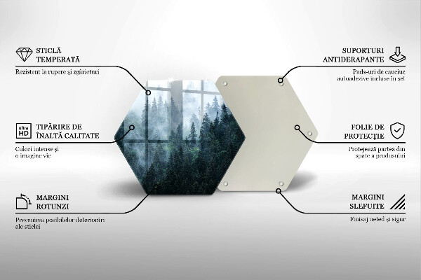 Tagliere in vetro Alberi forestali e nebbia