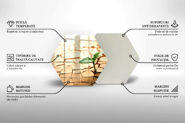 Tagliere in vetro Una pianta solitaria
