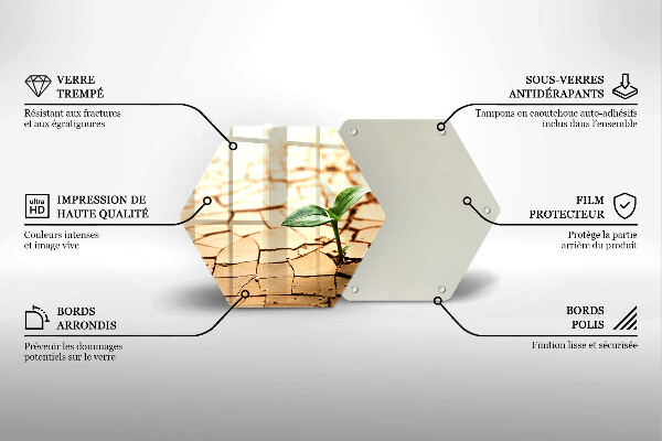 Tagliere in vetro Una pianta solitaria