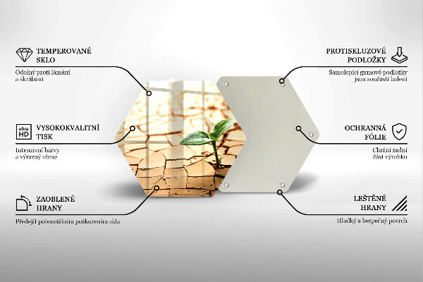 Tagliere in vetro Una pianta solitaria