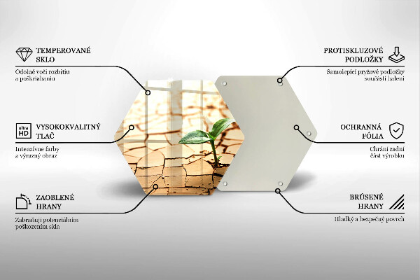 Tagliere in vetro Una pianta solitaria