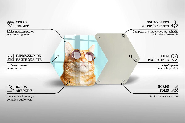 Tagliere in vetro Gatto rosso con gli occhiali