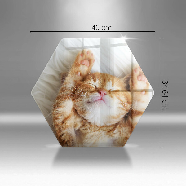 Tagliere in vetro Piccolo gattino carino