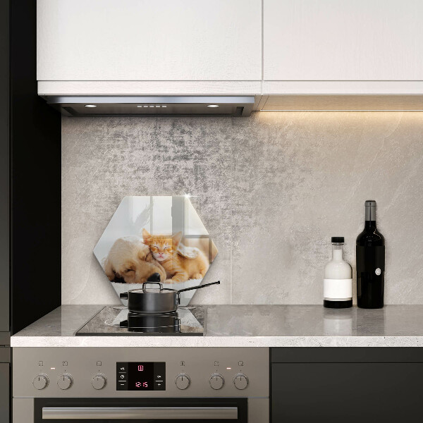 Tagliere in vetro Animali cane e gatto