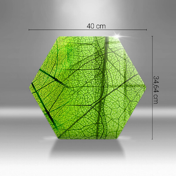 Tagliere in vetro Vene delle foglie naturali