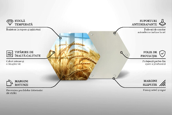 Tagliere in vetro Spighe di cereali nel campo