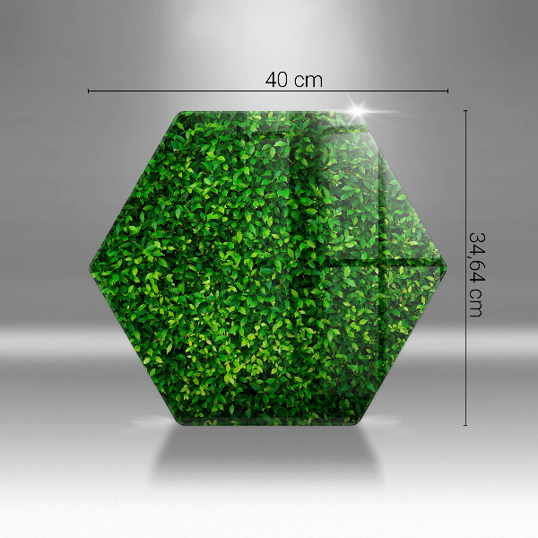 Tagliere in vetro Pianta con foglie piccole