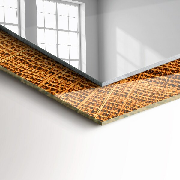 Specchio decoro Sezione di anelli di tronco d'albero