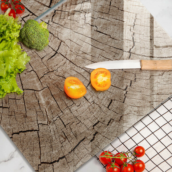 Copri piano cottura in vetro Sezione trasversale di un albero