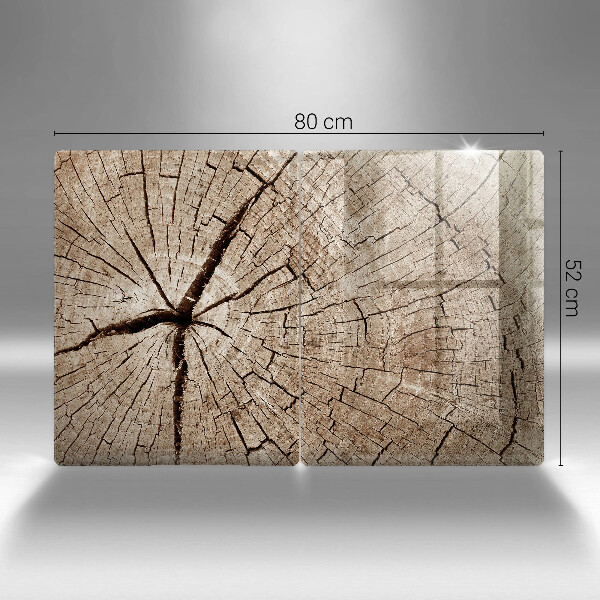 Copri piano cottura in vetro Sezione trasversale di un albero