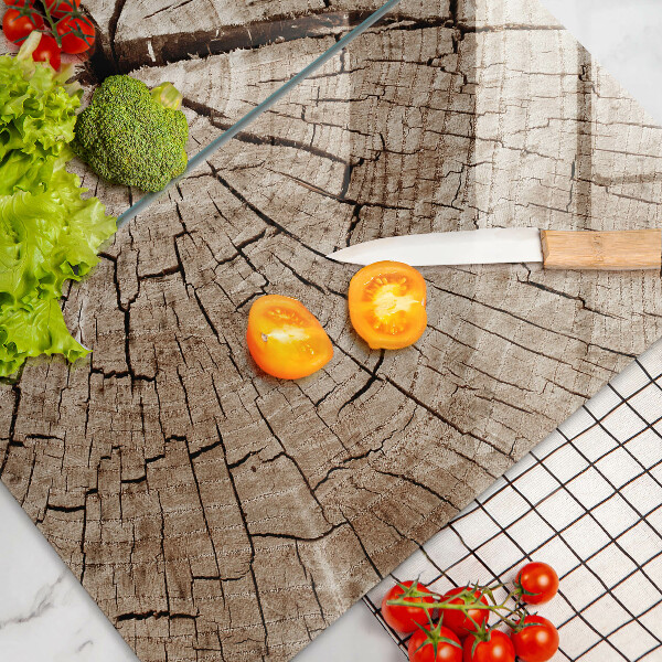 Copri piano cottura in vetro Sezione trasversale di un albero