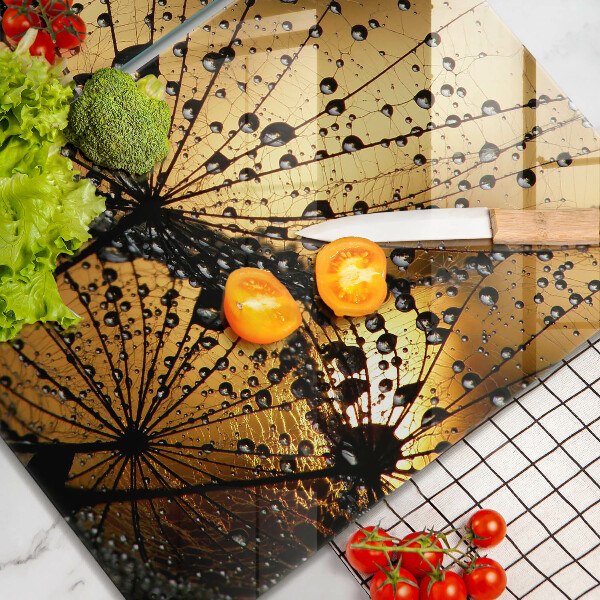 Copri piano cottura in vetro Rugiada e denti di leone