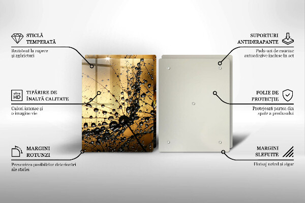 Copri piano cottura in vetro Rugiada e denti di leone
