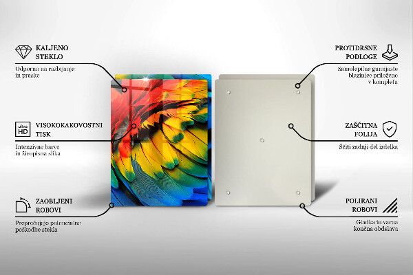 Copri piano cottura in vetro Piume di pappagallo colorate