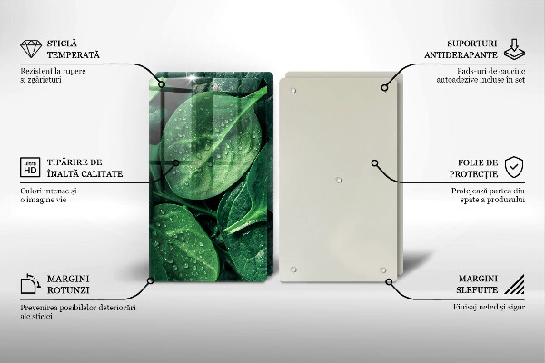 Copri piano cottura in vetro Foglie di basilico
