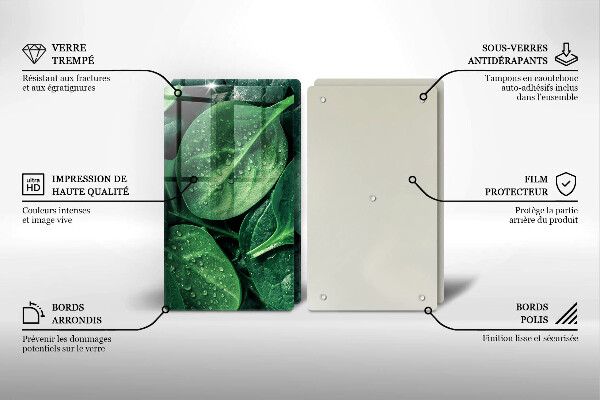 Copri piano cottura in vetro Foglie di basilico