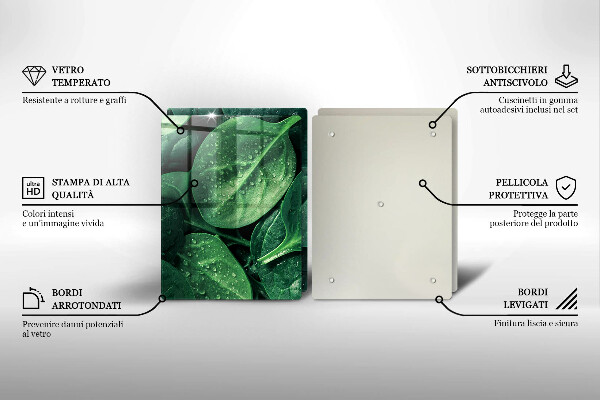 Copri piano cottura in vetro Foglie di basilico