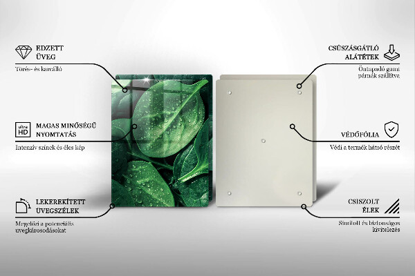 Copri piano cottura in vetro Foglie di basilico