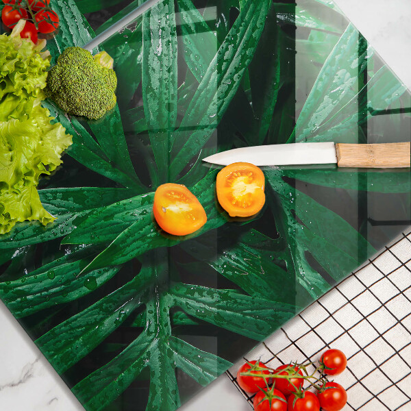 Copri piano cottura in vetro Foglie di piante