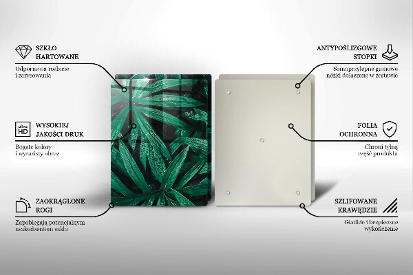 Copri piano cottura in vetro Foglie di piante