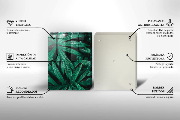 Copri piano cottura in vetro Foglie di piante