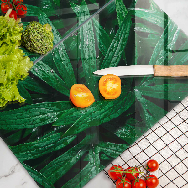 Copri piano cottura in vetro Foglie di piante