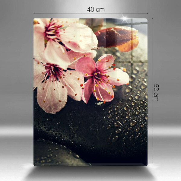 Copri piano cottura Fiori pietre zen