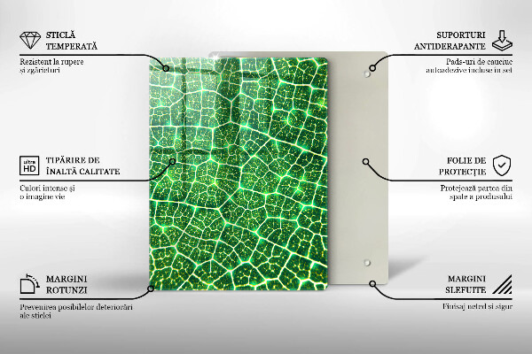 Copri piano cottura Struttura delle foglie