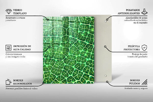 Copri piano cottura Struttura delle foglie