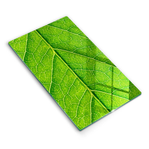 Copri piano induzione Vene delle foglie naturali