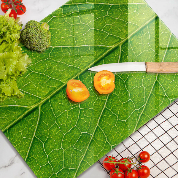 Copri piano induzione Vene delle foglie naturali